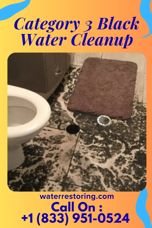 Category 3 Black Water Cleanup in Pecktonville, MD