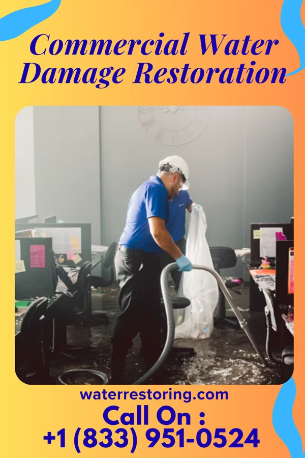 Commercial Water Damage Restoration in Pecktonville, MD