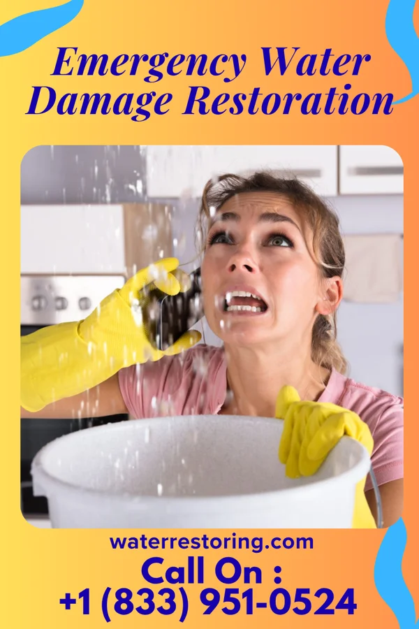 Emergency Water Damage Restoration in Pecktonville, MD