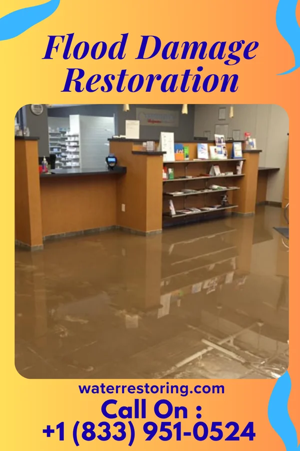 Flood Damage Restoration in Pecktonville, MD