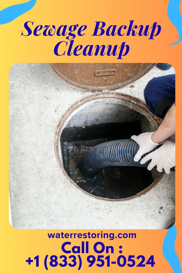 Sewage Backup Cleanup in Pecktonville, MD