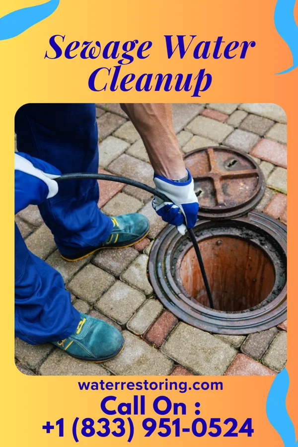 Sewage Water Cleanup in Pecktonville, MD