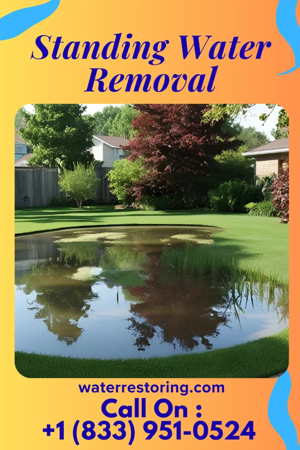 Standing Water Removal in Pecktonville, MD